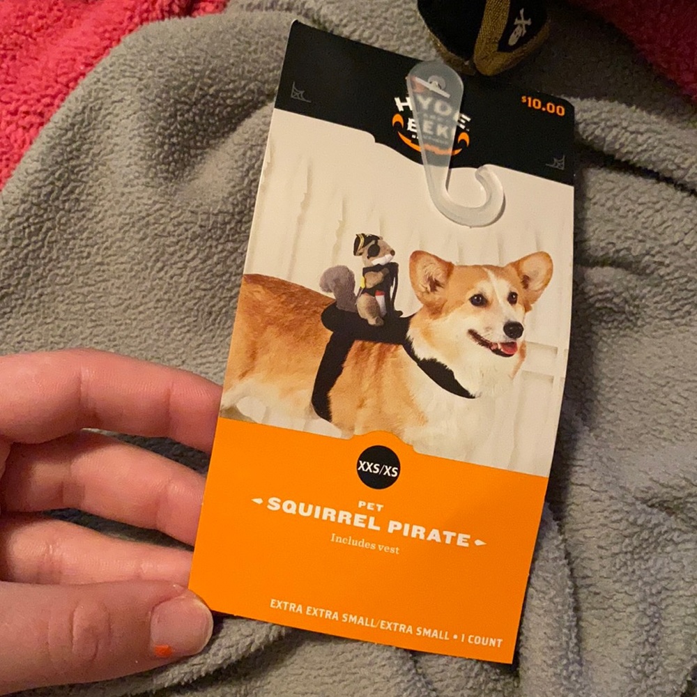 Squirrel Pirate pet costume from Target